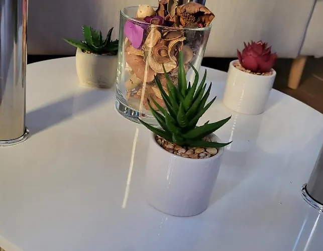 With Free Parking And Large Balcony Apartamento