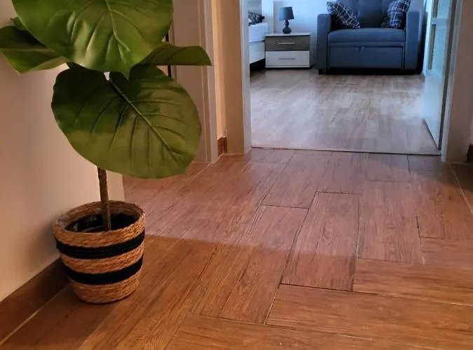 With Free Parking And Large Balcony